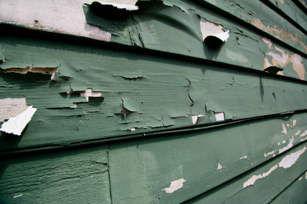 Best Same-Day Junk Removal Services  in Otterbe, IN