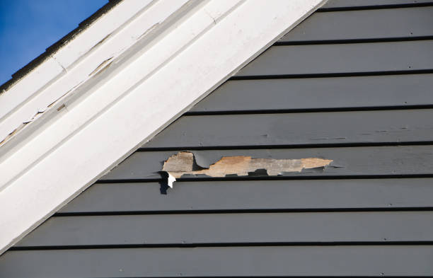 Best Demolition Debris Removal  in Otterbe, IN