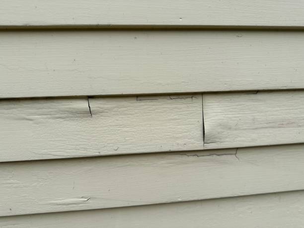 Trusted Otterbein, IN Junk Removal Experts
